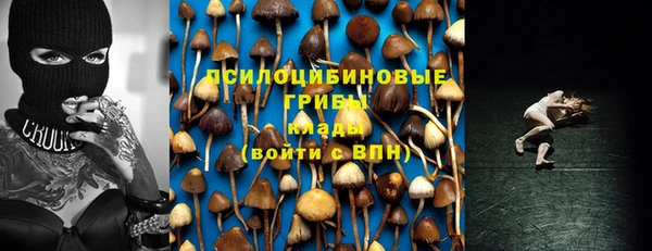 винт Богородск