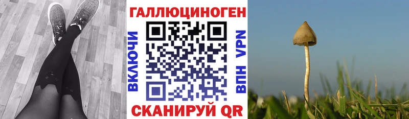 Купить закладки  Байкальск  Галлюциногенные грибы прущие грибы 